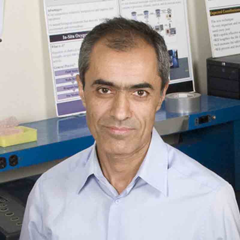 Masoud Ghandehari, Ph.D.